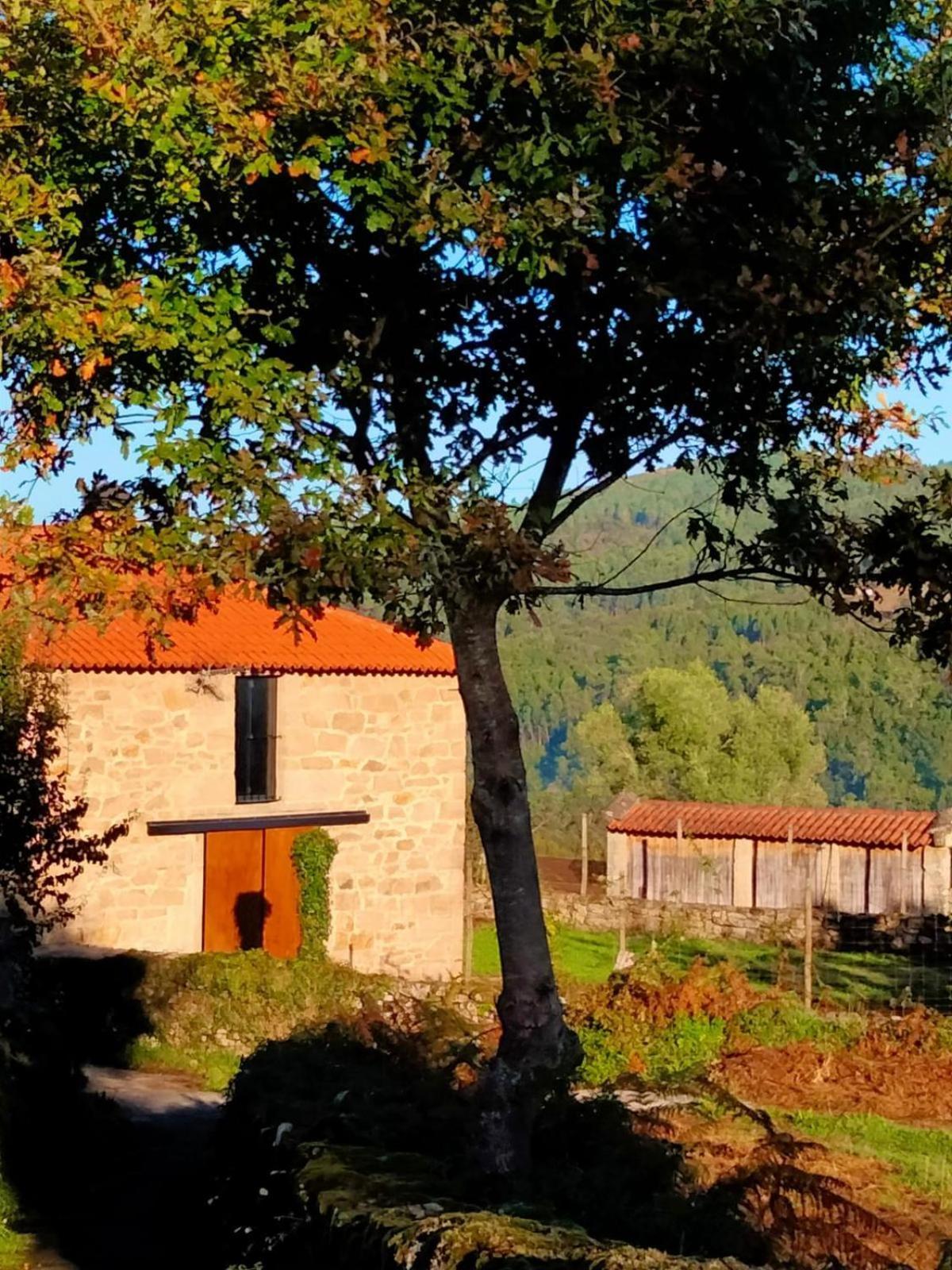 Vive Una Escapada Rural Con Alma, Cerca De Todo Y Lejos Del Ruido Pontevedra Dış mekan fotoğraf